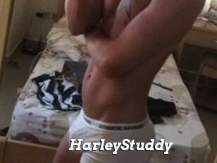 HarleyStuddy