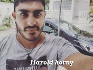 Harold_horny