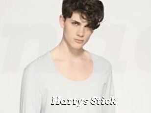 Harrys_Stick