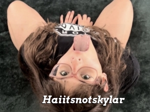 Haiitsnotskylar