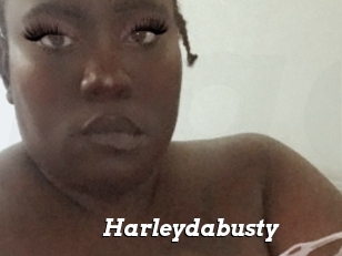 Harleydabusty