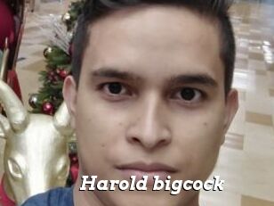 Harold_bigcock