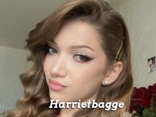 Harrietbagge