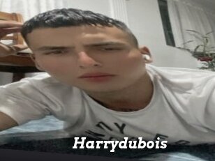 Harrydubois