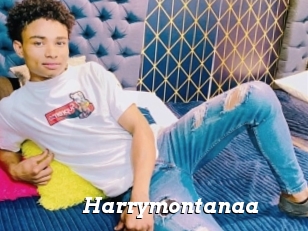 Harrymontanaa