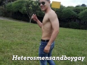 Heterosmensandboygay