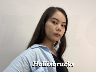 Hollisbrucks