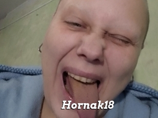 Hornak18