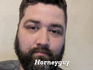 Horneyguy