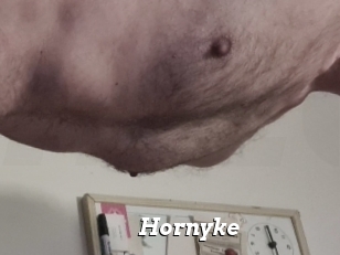 Hornyke