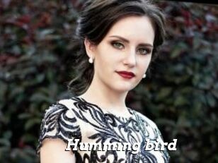Humming_bird