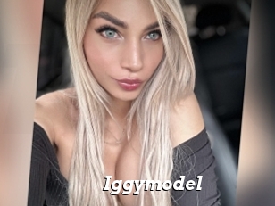 Iggymodel