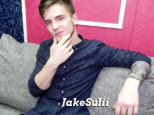 JakeSulii