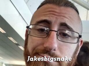 Jakesbigsnake