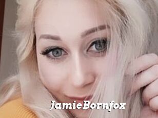 JamieBornfox