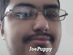 JoePuppy