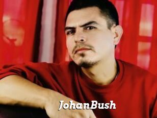 JohanBush