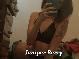 Juniper_Berry