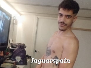 Jaguarspain