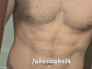 Jakesnake14