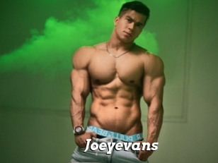 Joeyevans