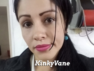 KinkyVane