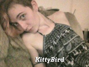 KittyBird