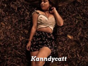 Kanndycatt