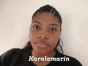 Karalamarin