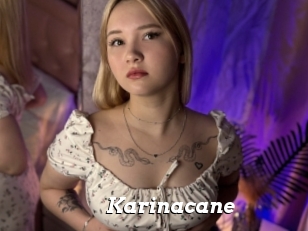 Karinacane