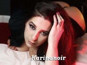 Karinanoir