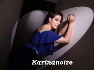 Karinanoire