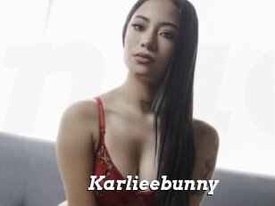 Karlieebunny