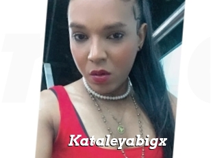 Kataleyabigx