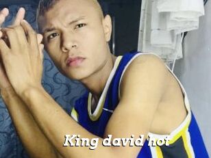 King_david_hot