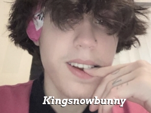 Kingsnowbunny