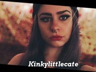 Kinkylittlecate