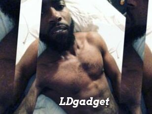 LDgadget