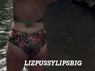 LIZPUSSYLIPSBIG