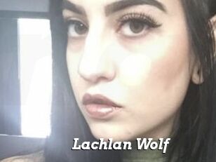 Lachlan_Wolf