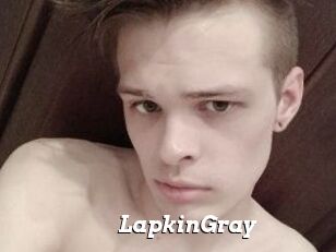 LapkinGray