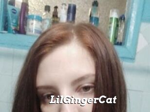 LilGingerCat