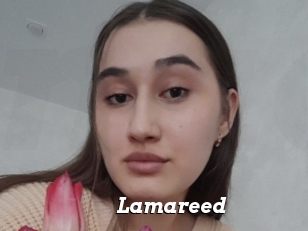 Lamareed