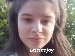 Laricejoy