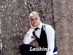 Laukinis