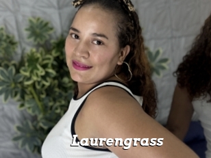 Laurengrass