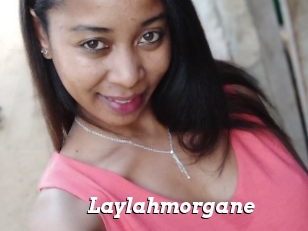 Laylahmorgane