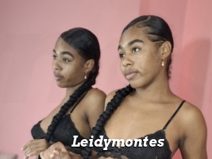 Leidymontes