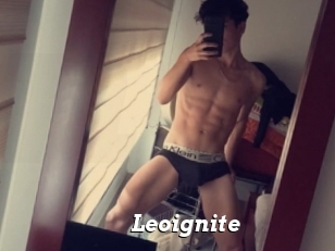 Leoignite