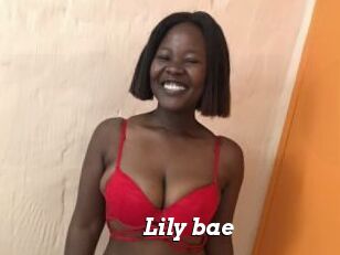 Lily_bae